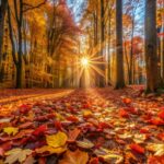 A forest floor covered with autumn leaves.