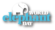 world_elephant_day